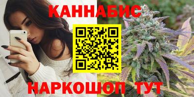 тгк Тула