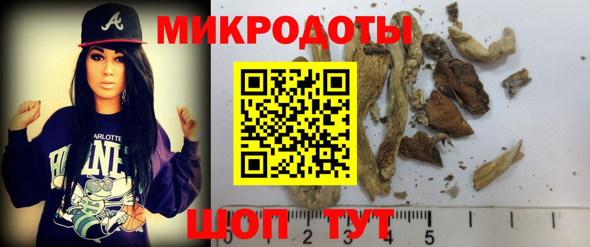 Серов  Псилоцибиновые грибы Psilocybine cubensis  Вход с VPN  Галлюциногенные грибы Magic Shrooms 